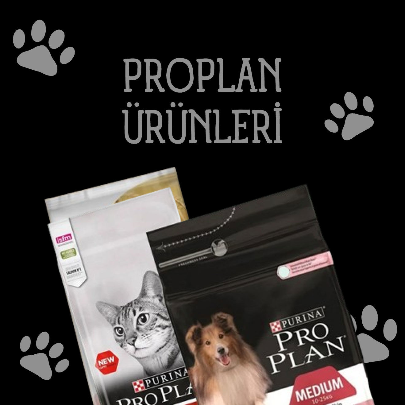 Proplan