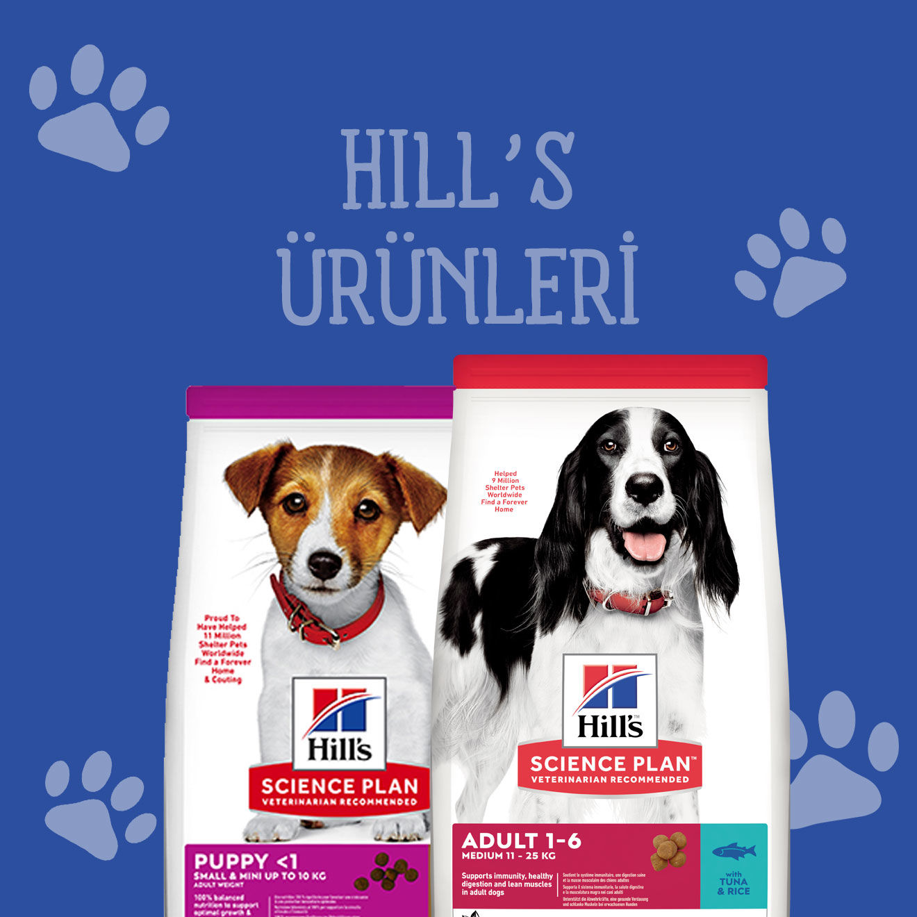 Hill's