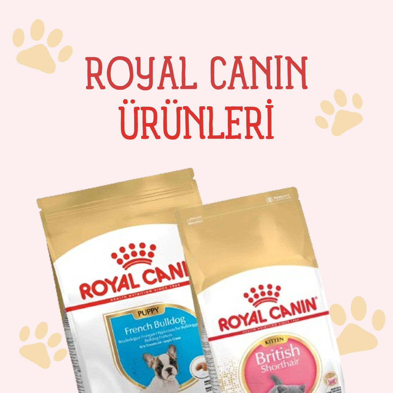 Royal Canin